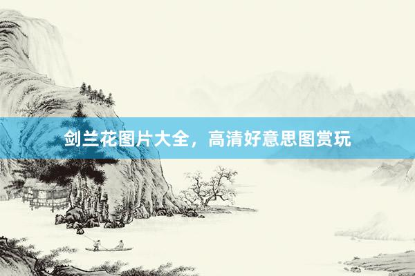 剑兰花图片大全，高清好意思图赏玩